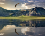 New Zealand01