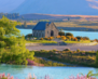 New Zealand03